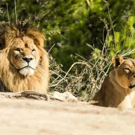 3 Etoiles - Ccbbe0c مكان تخييم *