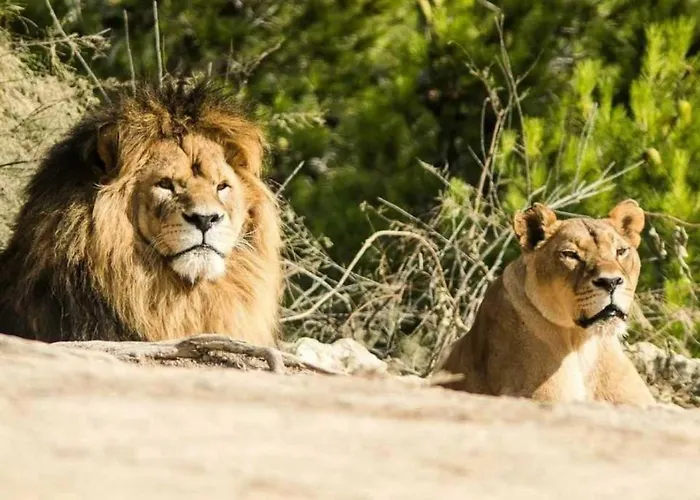 3 Etoiles - Ccbbe0c Campingplatz *