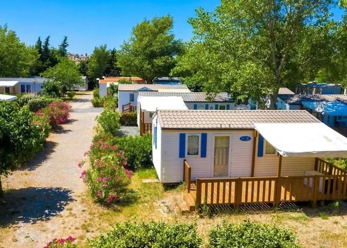 Camping 3 Etoiles - A 15 Min Reserve Sigean Et Des Plages